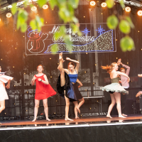 Hit refresh if image not shown