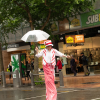 Hit refresh if image not shown