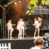 Hit refresh if image not shown