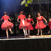 Hit refresh if image not shown