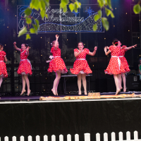 Hit refresh if image not shown