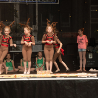 Hit refresh if image not shown