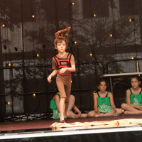 Hit refresh if image not shown