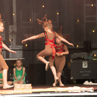 Hit refresh if image not shown