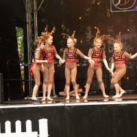 Hit refresh if image not shown