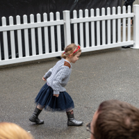 Hit refresh if image not shown