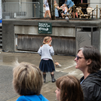 Hit refresh if image not shown