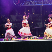 Hit refresh if image not shown