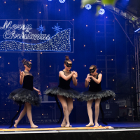 Hit refresh if image not shown