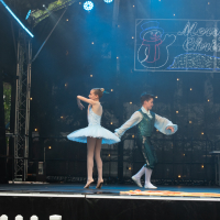 Hit refresh if image not shown