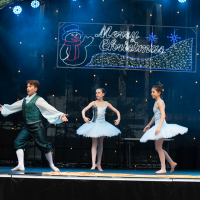 Hit refresh if image not shown