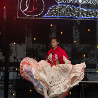 Hit refresh if image not shown