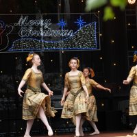 Hit refresh if image not shown