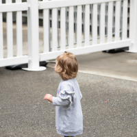 Hit refresh if image not shown