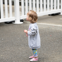 Hit refresh if image not shown