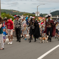 Hit refresh if image not shown