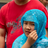 Hit refresh if image not shown