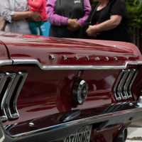 Hit refresh if image not shown