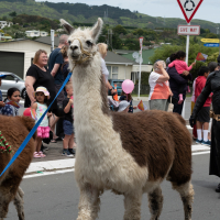 Hit refresh if image not shown