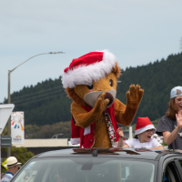 Hit refresh if image not shown