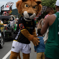 Hit refresh if image not shown