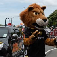 Hit refresh if image not shown