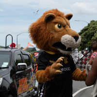 Hit refresh if image not shown