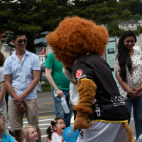 Hit refresh if image not shown