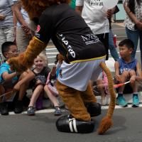 Hit refresh if image not shown