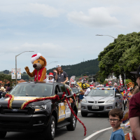 Hit refresh if image not shown