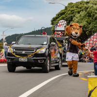 Hit refresh if image not shown