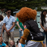 Hit refresh if image not shown