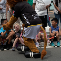 Hit refresh if image not shown