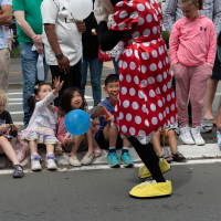 Hit refresh if image not shown