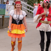 Hit refresh if image not shown