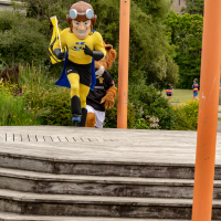 Hit refresh if image not shown