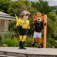 Hit refresh if image not shown