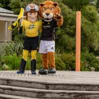 Hit refresh if image not shown