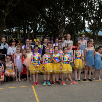 Hit refresh if image not shown