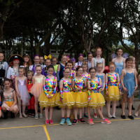 Hit refresh if image not shown