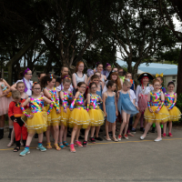 Hit refresh if image not shown