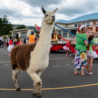 Hit refresh if image not shown