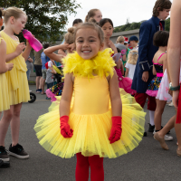 Hit refresh if image not shown