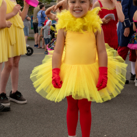 Hit refresh if image not shown