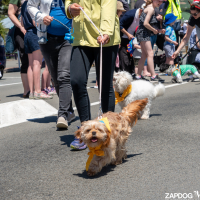 Hit refresh if image not shown