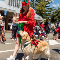 Hit refresh if image not shown