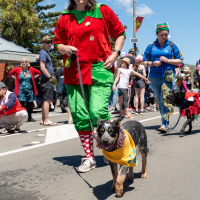 Hit refresh if image not shown