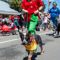 Hit refresh if image not shown