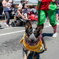 Hit refresh if image not shown