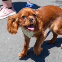 Hit refresh if image not shown